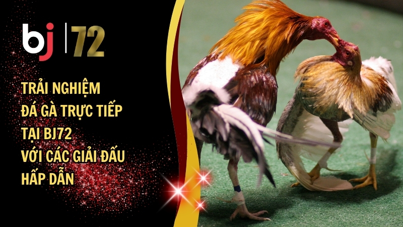 Top Trò Chơi Casino Được Yêu Thích Nhất Tại BJ72 Năm Nay - Khám Phá Những Trải Nghiệm Giải Trí Đỉnh Cao