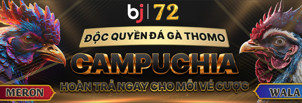 bj72 đá gà thomo trực tuyến