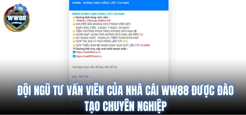 Đá gà Thomo hôm nay BJ99 - Khám Phá Thế Giới Đầy Kích Thích Của Những Trận Đấu Gà