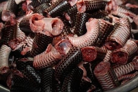 Kèo nhà cái BJ99 - Cách Thức Dễ Dàng Để Tham Gia Cược Thể Thao Hiện Đại