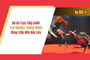 Trực tiếp đá gà cựa sắt BJ99 có bình luận tiếng Việt không? - Khám phá thế giới đá gà sôi động